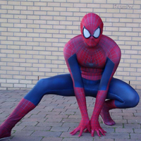 Marvels Comics Hero Spiderman